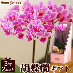  av[g Ӓ ~fBӒ 3  A 2{    ΂ j FB j  j Mtg j җj oYj Ŗm a 40