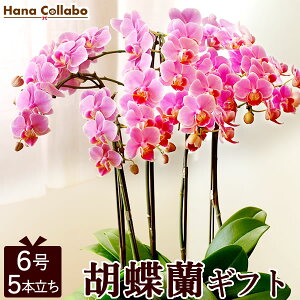  av[g Ӓ ~fBӒ 6  A 5{    ΂ j FB j  j Mtg j җj oYj Ŗm a 