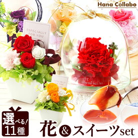 楽天市場 スイーツセット 花 花 ガーデン Diy の通販 楽天市場 スイーツセット 花 花 ガーデン Diy の通販