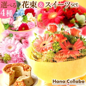 楽天市場 鉢植え フリージアの通販