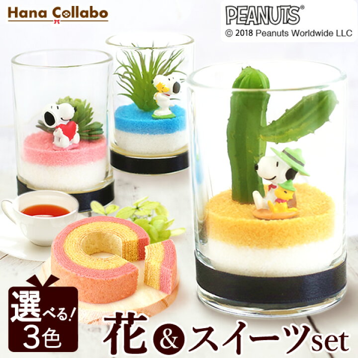 楽天市場 あす楽15時 送料無料 誕生日プレゼント スイーツセット 花とスイーツ 花 母 フェイクグリーン 造花 サボテン お祝い 内祝い 女友達 ギフト 結婚祝い 還暦祝い 出産祝い スヌーピー キャラクター 洋菓子 紅茶 静岡 プレゼント ギフト 花コラボ