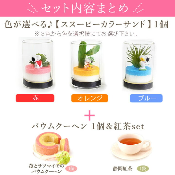 楽天市場 あす楽15時 送料無料 誕生日プレゼント スイーツセット 花とスイーツ 花 母 フェイクグリーン 造花 サボテン お祝い 内祝い 女友達 ギフト 結婚祝い 還暦祝い 出産祝い スヌーピー キャラクター 洋菓子 紅茶 静岡 プレゼント ギフト 花コラボ