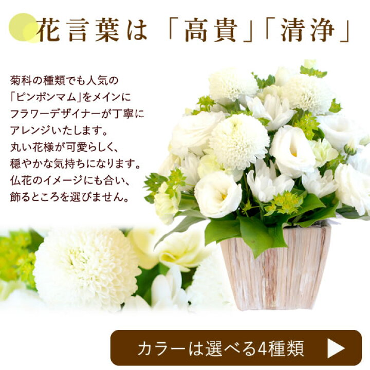 楽天市場 お供え お供え花 生花 Sサイズ お菓子 仏壇用 49 日 故人 仏花 命日 初盆 お盆 お彼岸 お悔やみ スイーツセット 花 ペット アレンジ 百合 ユリ 菊 洋菓子 送料無料 プレゼント ギフト 花コラボ