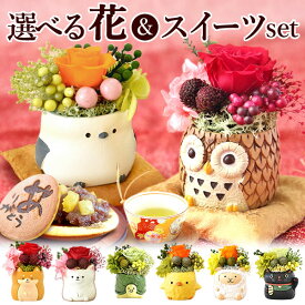 【夏祭りクーポン配布中！】 ＼最強配送！／ 誕生日 プレゼント お祝い 花 ギフト プリザーブドフラワー ミニ 動物 アニマル フラワーアレンジメント バラ 薔薇 一輪 置き物 ふくろう 犬 猫 かわいい おしゃれ どら焼き 送料無料 スイーツ お菓子 和菓子 ギフトセット