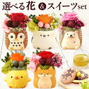 ＼最強配送！／ 誕生日 プレゼント お祝い 花 ギフト プリザーブドフラワー ミニ 動物 アニマル フラワーアレンジメント バラ 薔薇 一輪 置き物 ふくろう 犬 猫 かわいい おしゃれ どら焼き 送料無料 スイーツ お菓子 和菓子 ギフトセット