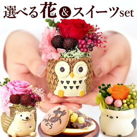 ＼最強配送！／ 誕生日 プレゼント おばあちゃん お祝い 花 ギフト プリザーブドフラワー ミニ 動物 アニマル フラワーアレンジメント 薔薇 一輪 置き物 ふくろう 犬 猫 かわいい おしゃれ どら焼き 送料無料 スイーツ お菓子 和菓子 ギフトセット