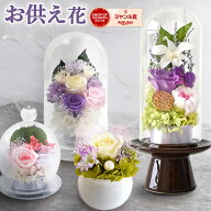 ＼最強配送！／ お供え 花 プリザーブドフラワー ドーム ガラスドーム ミニ 大きめ お菓子 ブリザードフ…