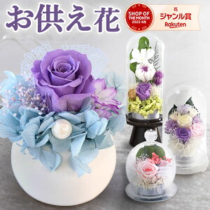 _ŋzI^   vU[uht[ h[ KXh[ ~j 傫 َq uU[ht[ ފ    aَq   ~   ybg ~ 