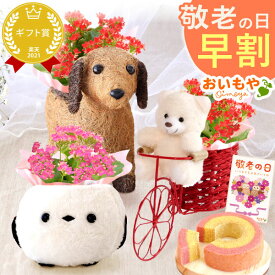 ＼早割！／ 敬老の日 ギフト プレゼント 花 生花 鉢植え 鉢花 カランコエ 3号 動物 犬 いぬ シマエナガ くま かわいい スイーツ お菓子 洋菓子 花とお菓子 60代 70代 80代 90代 おじいちゃん おばあちゃん 孫 孫から 送料無料