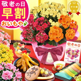 ＼早割！／ 敬老の日 ギフト プレゼント 花 生花 鉢植え 鉢花 アザレア スイーツ ベゴニア カランコエ どら焼き お菓子 和菓子 洋菓子 花とお菓子 60代 70代 80代 90代 おじいちゃん おばあちゃん 孫 孫から 送料無料
