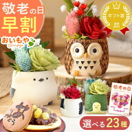 ＼早割ラスト！9月7日まで／ 敬老の日 早割 ギフト プレゼント 花 プリザーブドフラワー フラワーアレン…