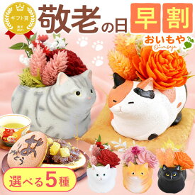 ＼早割ラスト！9月7日まで／ 敬老の日 早割 花 ギフト アレンジメント フラワー プリザーブドフラワー 枯れない花 動物 猫 猫好き 猫グッズ 置物 かわいい 送料無料 プレゼント スイーツ お菓子 和菓子 洋菓子 猫グッズ 60代 70代 80代 90代 おじいちゃん おばあちゃん