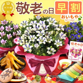 ＼早割！／ 敬老の日 ギフト プレゼント 花 生花 鉢植え ようかん 芋けんぴ 鉢花 スイーツ どら焼き あんみつ りんどう 干し芋 竜胆 お菓子 和菓子 花とお菓子 60代 70代 80代 90代 おじいちゃん おばあちゃん 孫 孫から