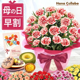 母の日 プレゼント 送料無料 花 生花 2026 ギフト 鉢植え 希少 鉢花 カーネーション 5号 どら焼き スイートポテト バウムクーヘン おしゃれ かわいい お花 スイーツ お菓子 和菓子 楽天ランキング1位 ギフトセット