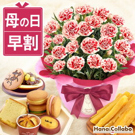 ＼今の価格19日まで／ 早割 母の日 プレゼント 花 生花 ギフト カーネーション ゼリー クッキー バターサンド どら焼き バウムクーヘン 干し芋 サブレ カステラ 送料無料 スイーツ お菓子 和菓子 洋菓子 ギフトセット 5号鉢 ははの日 hahanohi