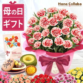 【スーパーSALE！】 母の日 プレゼント 送料無料 花 生花 2026 ギフト 鉢植え 希少 鉢花 カーネーション 5号 どら焼き スイートポテト バウムクーヘン おしゃれ かわいい お花 スイーツ お菓子 和菓子 楽天ランキング1位 ギフトセット 早期予約