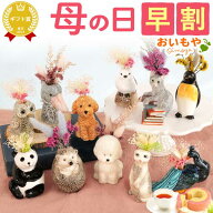 ＼早割／ 母の日 プレゼント 早割 2026 花 動物 アニマル グッズ キャラクター かわいい おしゃれ インテ…