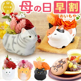 ＼ 母の日 早割 ／ プレゼント 花 プリザーブドフラワー フラワーアレンジメント 薔薇 バラ あじさい 猫 ネコ 猫グッズ 猫好き 造花 実用的 おしゃれ 可愛い どら焼き ギフト 送料無料 スイーツ お菓子 和菓子 母の日ギフト2026