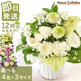 ＼最強配送／ お供え 花 お供え花 アレンジメント 生花 仏壇用 49 日 故人 仏花 命日 法事 法要 新盆 初盆 一周忌 お彼岸 お盆 お悔やみ アレンジ 花束 即日発送 カード 送料無料 人気 ランキング レビューキャンペーン 父の日 花 亡くなった