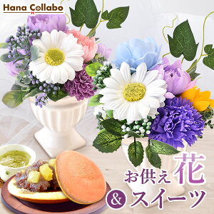 _ŋzI^   َq ~ XC[cZbg  ~  dp 49  ̐l   ފ  ԂƃXC[c V{t[ ~ d  ybg aَq Β 