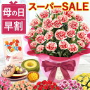 【まもなくお値段上がります】 ＼今だけ25％OFF／ 母の日 超早割 プレゼント 送料無料 花 生花 2026 ギフト 鉢植え 希少 鉢花 カーネーション 5号 バンビーノ どら焼き おいもや かわいい お花 スイーツ お菓子 和菓子 楽天ランキング1位 ギフトセット 早期予約