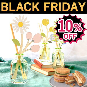 _ubNtCf[10%OFF^ a v[g Mtg  fBt[U[ A} tOX XeBbN F [hfBt[U[  킢 pI o^[Th 