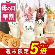 【週末限定ポイント5倍！】 ＼ 早割 ／ 母の日 プレゼント 早割 花 フラワーベース 花瓶 一輪挿し かわい…