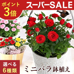 yX[p[SALE|Cg3{Iz Iׂ6 ~jo A  Mtg ΂ o ~jKN 3.5 4 7  av[g AWg   FB  c ΂ j