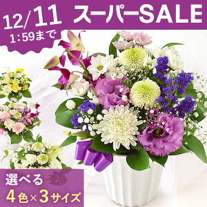 yX[p[SALE10%OFFz _ŋzI^     AWg  dp 49  ̐l     @ @v V~ ~  ފ ~  z 