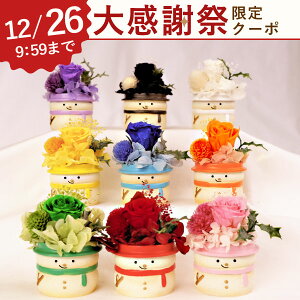 �y�労�ӍՃN�[�|���I�z �_�ŋ��z���I�^ �a�����v���[���g �Ⴞ��� �X�m�[�}�� snowman �� �v���U�[�u�h�t�����[ �A�����W�����g �K�N ������ �����F �����o�[�J���[ 9�F �O�b�Y �u�� ���킢