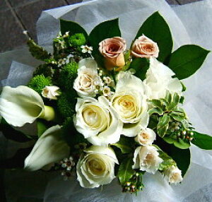 ފ݁@@V@@@ zCgu[P ԑ @ ԑ @     l\ Q @  V ʖ ԂȂǂ ԑ t[AWg 10
