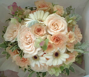 ފ݁@@V@@@ WsNu[P ԑ @ ԑ @     l\ Q @  V ʖ ԂȂǂ ԑ t[AWg 11