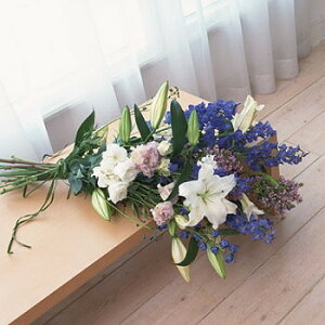 ފ݁@@V@@@ Au[Ał܂Ƃ߂ ԑ @ ԑ @     l\ Q @  V ʖ ԂȂǂ ԑ t[AW