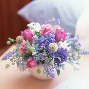 ފ݁@@V@@@ t[AWg @     l\ Q @  V ʖ ԂȂǂ ԑ t[AWg 23