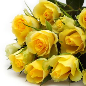誕生日　母の日 開業祝い プレゼント おまかせ 黄色オレンジ系バラの花束 開業祝い 花 人気ランキング 花ギフト 花束 結婚記念日　（誕生日 などにも） バラ 就任　送別 81 花束