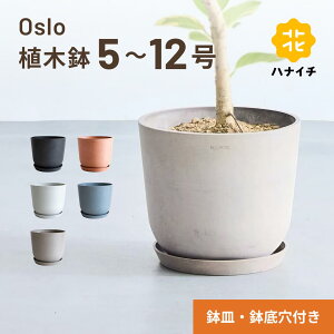 Aؔ  ecopots Oslo 5~12 vX`bN + VR Jo[  ^ v^[ y CeA k IX M t  A ϗtA Ahvc and plants 5 6 8 12 z