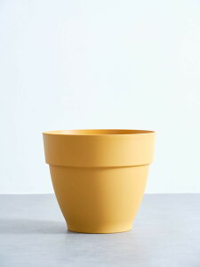 Jo[  elho-vibia campana 6~10 Aؔ  ^ v^[ y CeA k A ϗtA niC` hanaichi 6 8 10 O[ CgO[ CG[ O[ v^[Jo