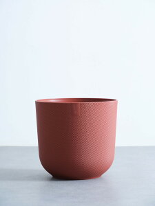 Jo[  elho jazz round 5~8 Aؔ  ^ v^[ y CeA k A ϗtA niC` hanaichi 5 6 8 VL[zCg x_[ CG[ Cbh v