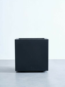 ʋ elho vivo 10 Aؔ LX^[t  ^ v^[ y CeA k A ϗtA niC` hanaichi 10 ubN CgO[ zCg A K[fjO [