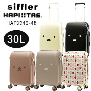 X[cP[X @ 킢 ~btB[ y ꔑp TSALOCK Vt Siffler ns^X HAPITAS LN^[ L[obO L[P[X VtbN  _CbN HAP2249-48 1