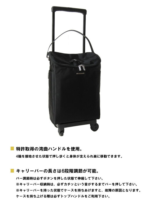 楽天市場】スワニー 正規品 SWANY ソフトキャリーケース 1泊〜2泊 D 