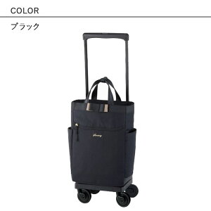 lCohV[Y ŐV Xj[ L[P[X D-640 (L21) oh \tgL[P[X y 4 Xgbp[ s gx SWANY L[obO obO VbsOJ[g a