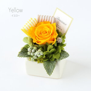 フレンチ プリザーブドフラワー 11時まで即日出荷 クリアケース入り ギフト プレゼント アレンジ 誕生日 贈り物 おしゃれ 母の日 結婚式 結婚記念日 結婚祝い お祝い 発表会 送別 退職 卒業