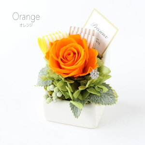 t` vU[uht[ 11܂őo NAP[X Mtg v[g AW a 蕨  ̓  LO j j \  ސE  