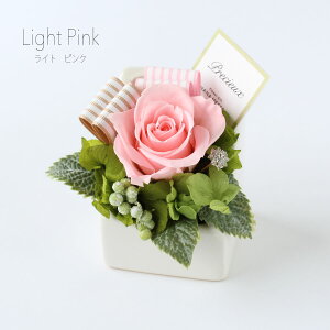 t` vU[uht[ 11܂őo NAP[X Mtg v[g AW a 蕨  ̓  LO j j \  ސE  