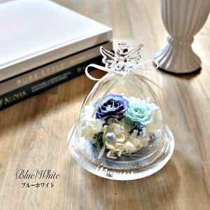 A[ GWFKXh[ vU[uht[ 11܂őo KXh[ GWF KX AW@a 蕨 @킢 ̓  LO j 