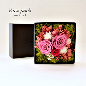 GN vU[uht[ Mtg v[g AW a 蕨  {bNX BOX  LO j j ސEj JXj ̓ Vzj Ԃ  