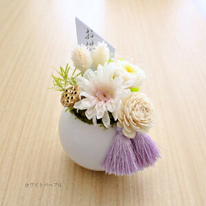 Չ Ƃ STCY 2Zbg  vU[uht[ 11܂őo 䋟   ybg ~@V~@^bZ@ފ @ d RpNg {  e } 