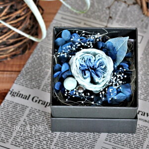 [ vU[uht[ 11܂őo AW Mtg v[g a 蕨   {bNX BOX ̓  LO j \  ސE  LO JX 