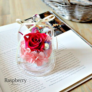 t vU[uht[ 11܂őo KXh[ KX ~j v`Mtg AW v[g  킢 a 蕨  ̓  LO  ސE C 